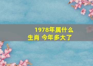 1978年属什么生肖 今年多大了